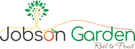 Jobson Garden — Root to Fruit